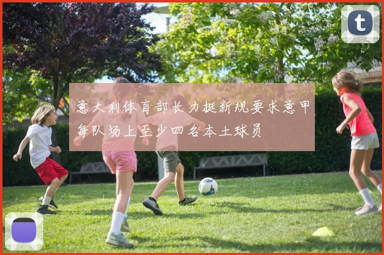 意大利体育部长力挺新规要求意甲每队场上至少四名本土球员